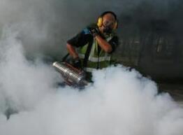 新加坡寨卡感染病例升至242起 或调整隔离措施