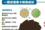 30中国人新加坡感染寨卡 南方蚊虫密度大风险高