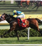 香港市民喜迎新赛马季