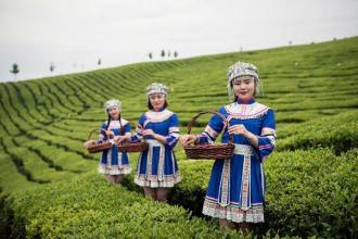 茶旅融合 四川落后山村蝶变&ldquo;世外桃源&rdquo;