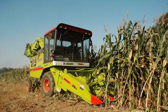 玉米收割机价格战将趋白热化
