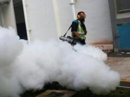 新加坡寨卡病例逾300 病株DNA与巴西病株有差异