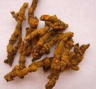 为何“黄连”被看作清热代表？