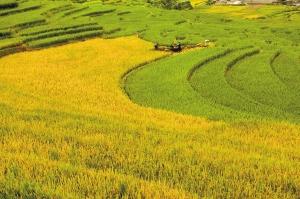 青海海北州健全精准脱贫机制