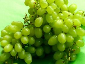 农业部专家辟谣：无籽葡萄与避孕药无关 可放心食用