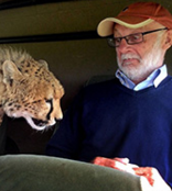 肯尼亚猎豹跳吉普车 两张脸距离30厘米