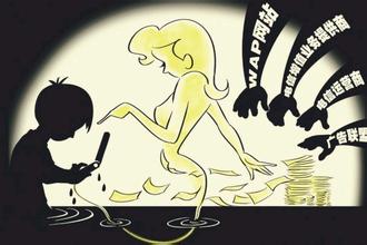 青海尖扎县法院审结首例传播淫秽物品案