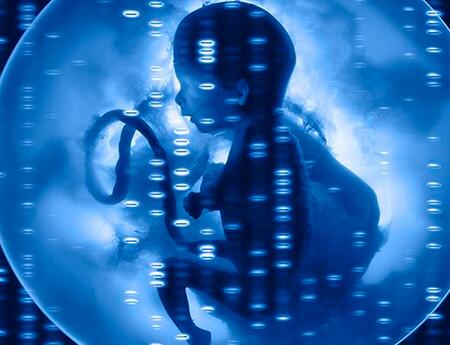 无精卵同性生育实验成功 专家：存安全和伦理问题