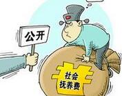 北京三孩以上征收抚养费拟不再设&ldquo;从重加倍&rdquo;