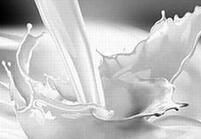 前7月进口乳品价格平均降12% 冲击国内上游乳企