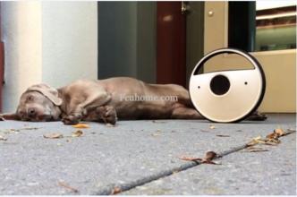 智能家居之服务型机器人发展趋势