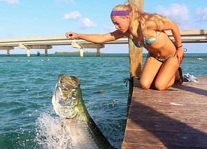 美佛州美女喂食巨型海鲢鱼如猛兽争食