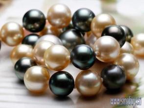 中国学者人工种出珍珠母 速度超自然百倍