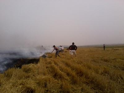 河南秸秆禁烧迎大考 发现1着火点扣50万财政资金