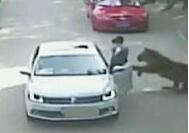 被老虎咬伤女当事人首次发声 向动物园索赔200余万