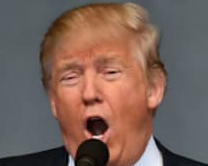 为什么某些中国精英喜欢特朗普？