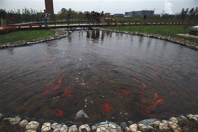 亚洲规模最大再生水厂&ldquo;藏身&rdquo;北京湿地公园