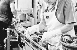 养老金池捉襟见肘 德国养老成了&ldquo;老大难&rdquo;