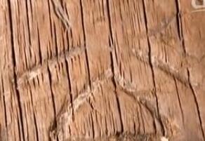 海昏侯墓红外扫描竹简 发现疑似棋谱的古籍(图)