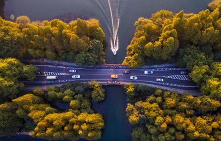 杭州迎来晴朗周末 西湖边秋色渐浓