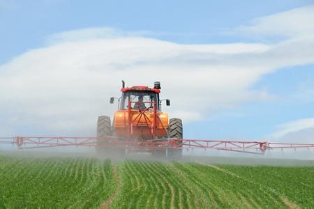 陕西水稻精量穴播技术取得突破