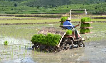 水稻插秧同步精量施肥机通过省级鉴定