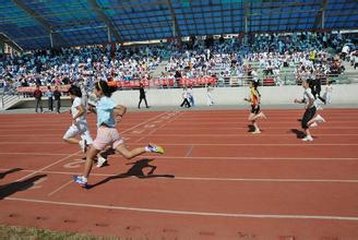 汉中佛坪审计局在全市审计系统运动会上硕果累累