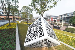 硅谷精英大规模“回流”