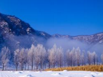 北京明日将迎今冬初雪 局地暴雪