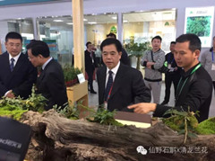 赖张龙：让百姓尊享仙野石斛的优质和清龙兰花的典雅