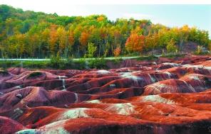 游客护照过期 有效期内多次往返签证该怎么办？