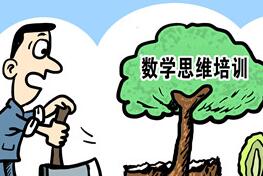 奥数成名校敲门砖 禁令年年发为何阻不了报班热情?