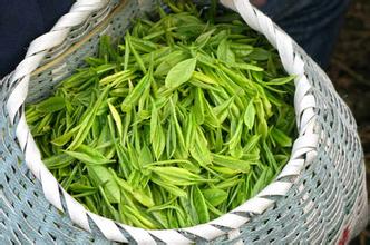 江西九江进一步做大做强茶叶品牌