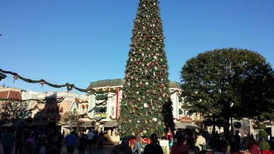 纽约公校被指滥用拨款 致华裔学生英语教育差