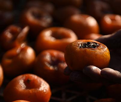 金色柿饼晒出红火生活