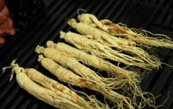 超越人参的韩参牌人参胶囊