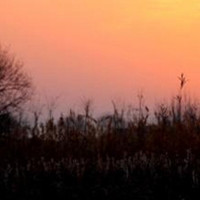 今日小寒：年味渐浓忙写春联 老北京吃烫饭