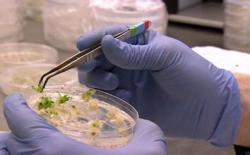 11家科研单位违反农业转基因生物安全管理规定被通报