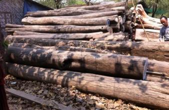 红木原材料缺口出现 行业细分已成必然趋势