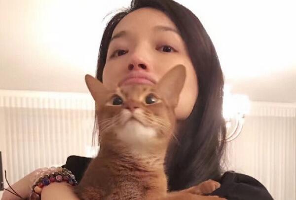 舒淇素颜抱猫出镜 猫咪都被她的颜值吓到了