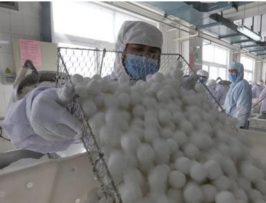 1.3元一个的元宵是这样生产的