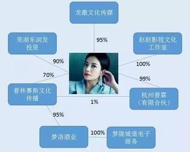 龙薇传媒融资生变放弃入主 上交所追问万家文化