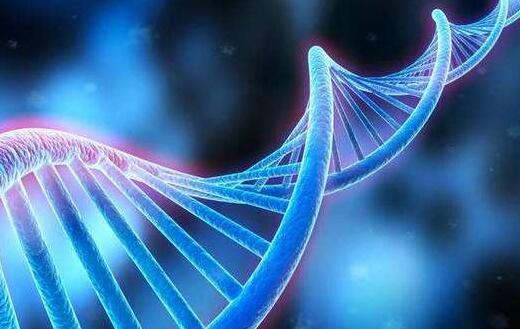 DNA开关能调控单个分子内电流