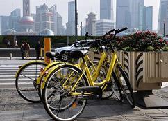 共享单车乱象频出，倒逼完善“顶层设计”