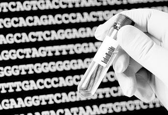 研究发现地球最早生命证据 可上溯到42.8亿年前