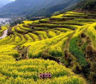 中国到2020年努力实现4A级以上景区免费WiFi全覆盖