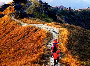 春暖花开 推荐几个适合出游的香港离岛
