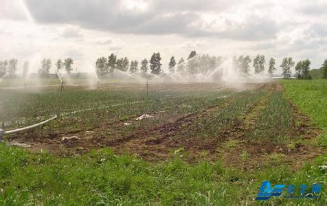 追着太阳要产量