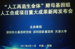 “人工再造生命体”酵母基因组人工合成项目获重大成果