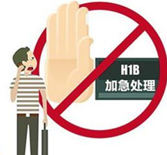 美媒：美取消H1B加急业务中留学生身陷“困境”